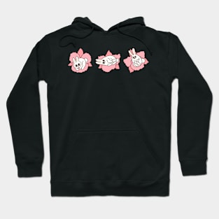 Bunnies and orchid flowers Hoodie